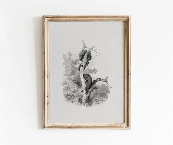 Bear Sketch Vintage Black and White Art Print