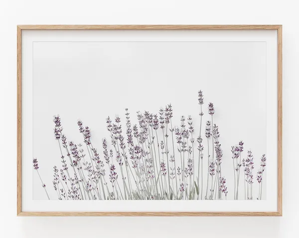 Lavender Print Botanical Flower Art Poster