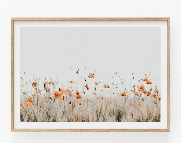 Poppy Print, Modern Minimalist Floral Poster