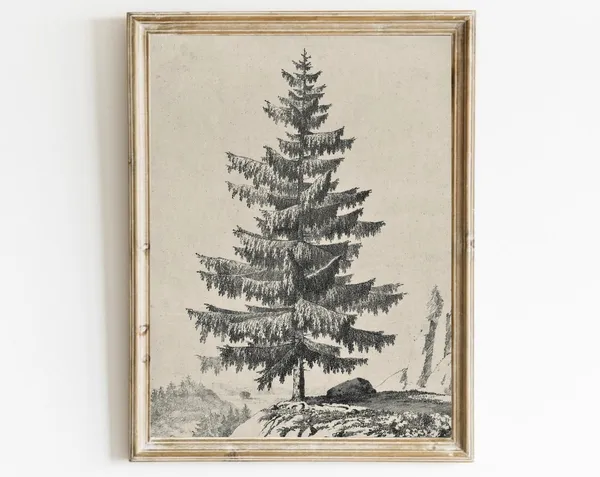 Neutral Tree Sketch, Vintage Pine Drawing Art Print