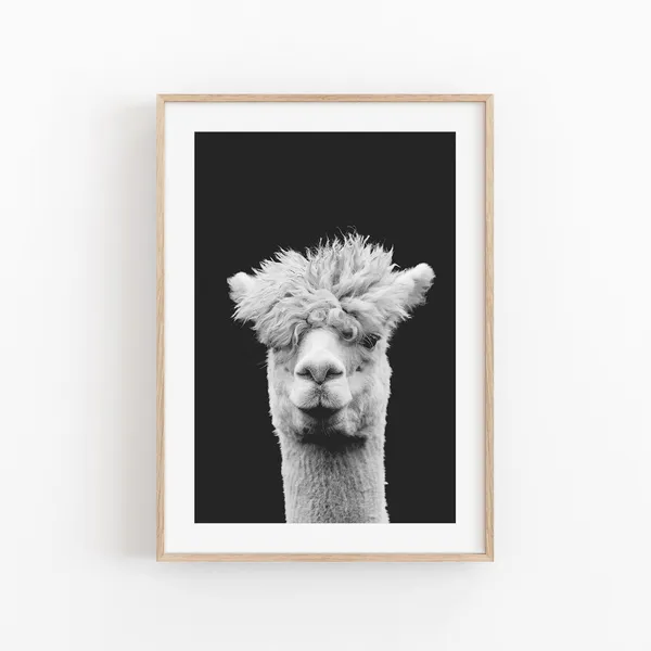 Llama Animal Print, Modern Minimalist Poster