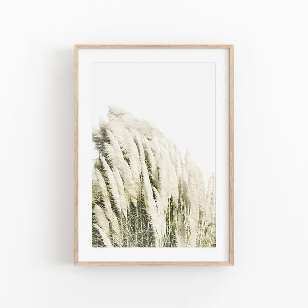 Pampas Grass Print, Farmhouse Botanical Art Print