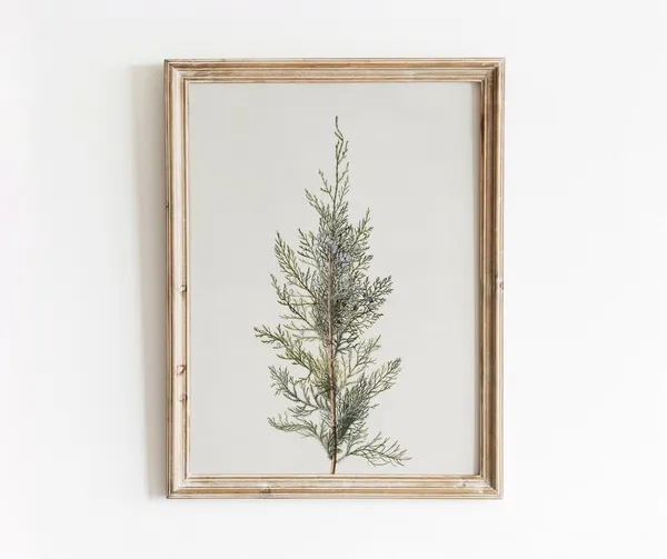 Juniper Branch Vintage Botanical Watercolor Art Print