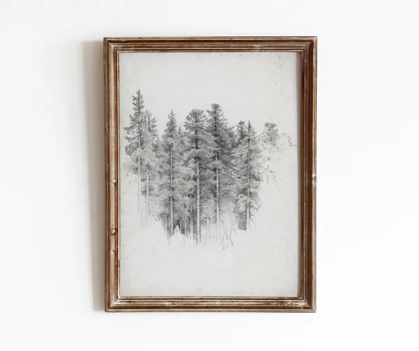 Tree Study Sketch Vintage Black And White Art Print