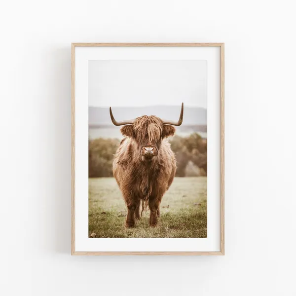 Highland Cow Modern Minimalist Art Print