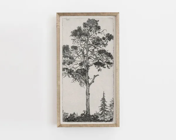 Tree Drawing Sketch Print, Vintage Botanical Art