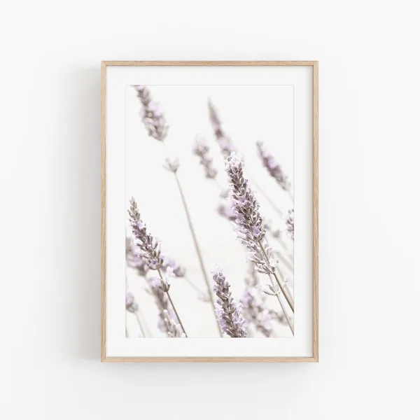 Lavender Flowers Print, Modern Minimalist Art Poster