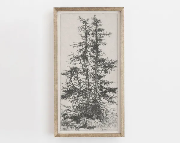 Vintage Tree Sketch Botanical Forest Art Print