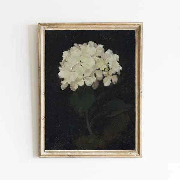 Vintage Hydrangea Botanical Art Print, Floral Style