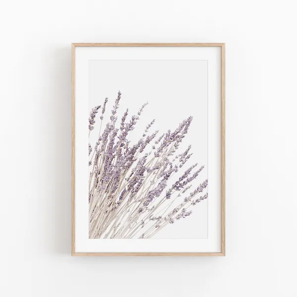 Lavender Flowers Modern Minimalist Art Print