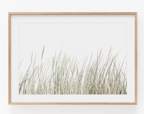 Pampas Grass Botanical Art Print, Boho Farmhouse