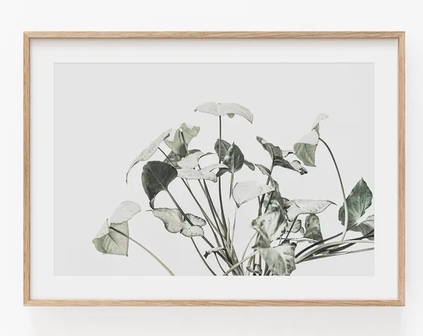 Botanical Farmhouse Art Print, Horizontal Plant Art