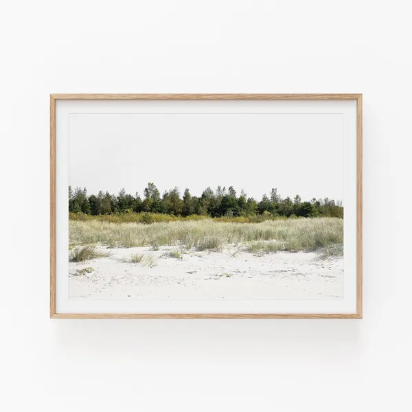 Nature Photography Minimalist Art Print, Nature Wall Decor