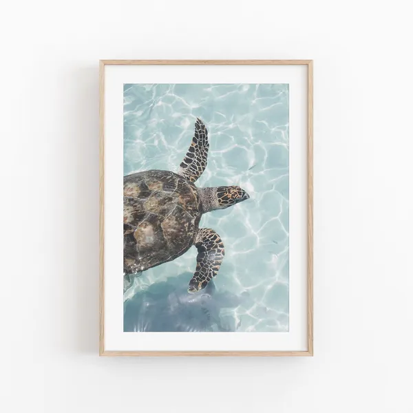 Sea Turtle Modern Minimalist Art Print, Wall Decor
