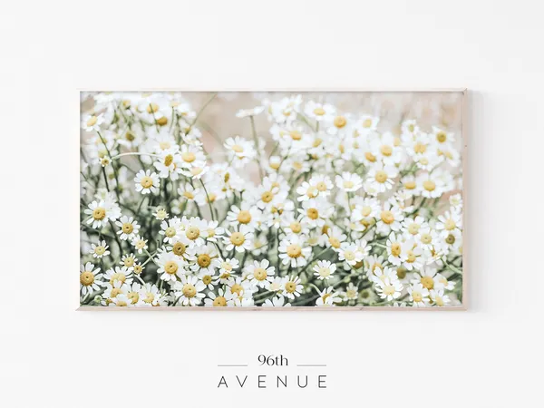 Daisy Botanical Art for TV, Spring Flowers Poster