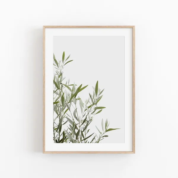 Olive Tree Botanical Art Print, Farmhouse Decor