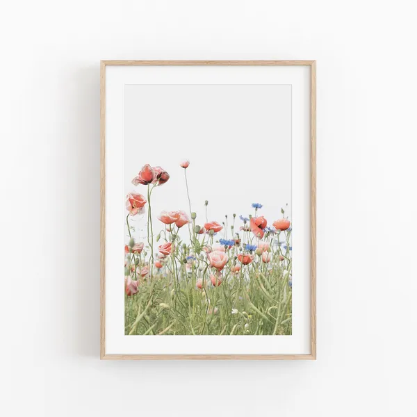 Poppy Flower Botanical Art Print, Modern Minimalist