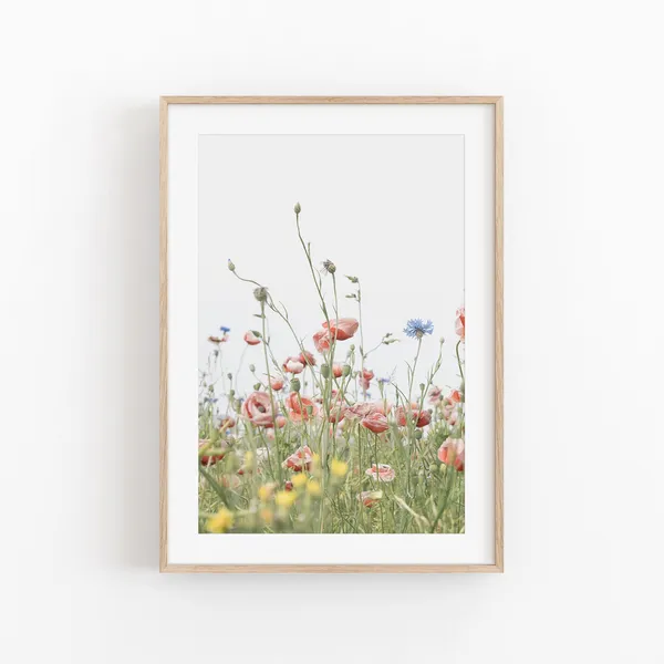 Poppy Print, Modern Minimalist Botanical Poster