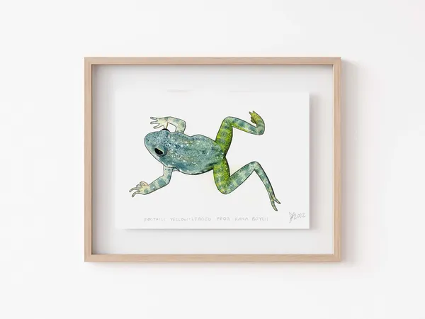 Yellow Legged Frog Painting, Wildlife Wall Art Print