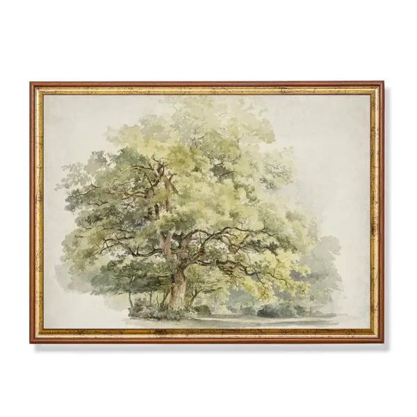 Vintage Oak Tree Watercolor Art Print, Farmhouse Decor