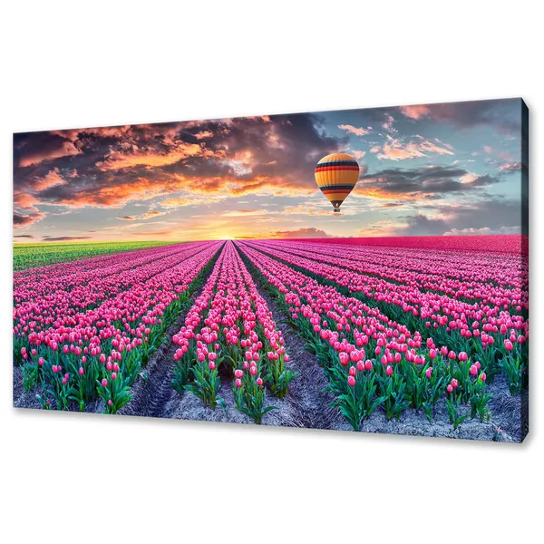 Pink Tulips Fields Hot Air Balloon Modern Art Print