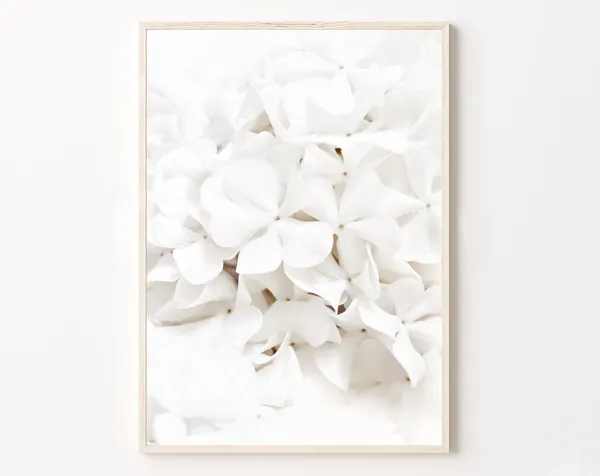 Neutral White Floral Blossom Art Print