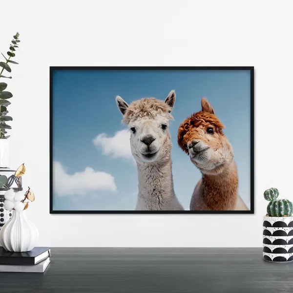 Two Alpacas Art Print