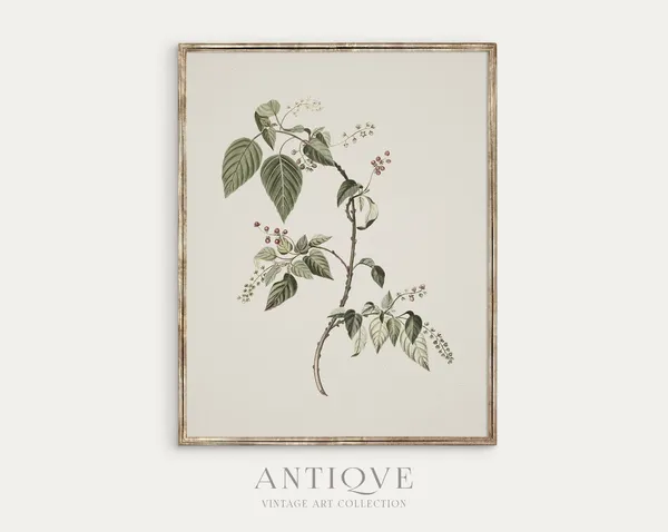 Antique Floral Sketch Botanical Art Print