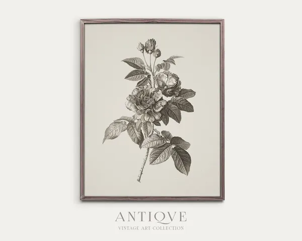 Neutral Floral Botanical Sketch Art Print