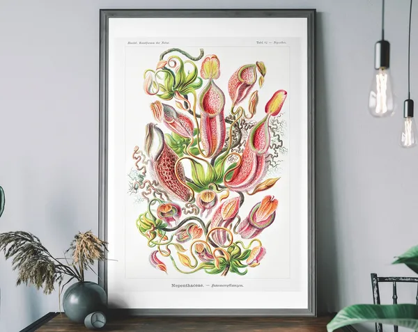 Vintage Pitcher Plant Botanical Art Print