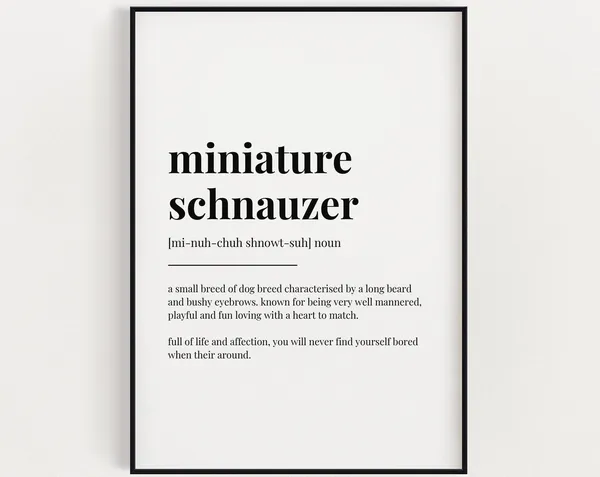 Miniature Schnauzer Definition Meaning Poster