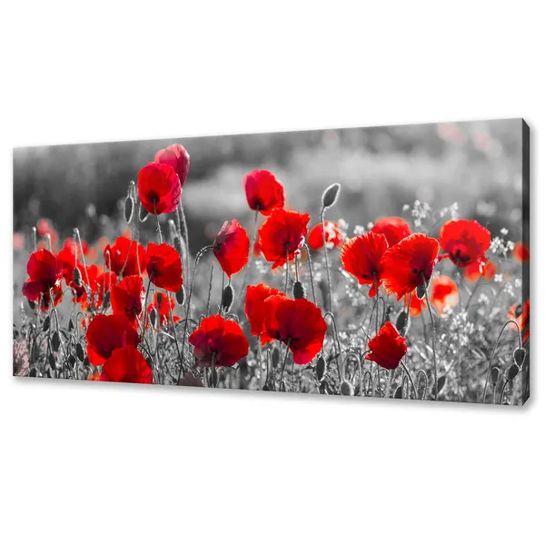 Red Poppies Field, Modern Floral Home Art Print