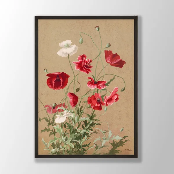 Vintage Poppies Botanical Art Print, Farmhouse Decor