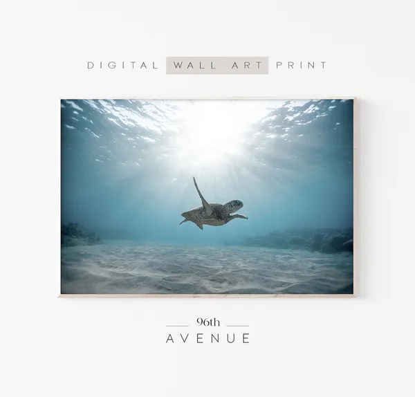 Sea Turtle Ocean Art Print, Beach Wall Decor