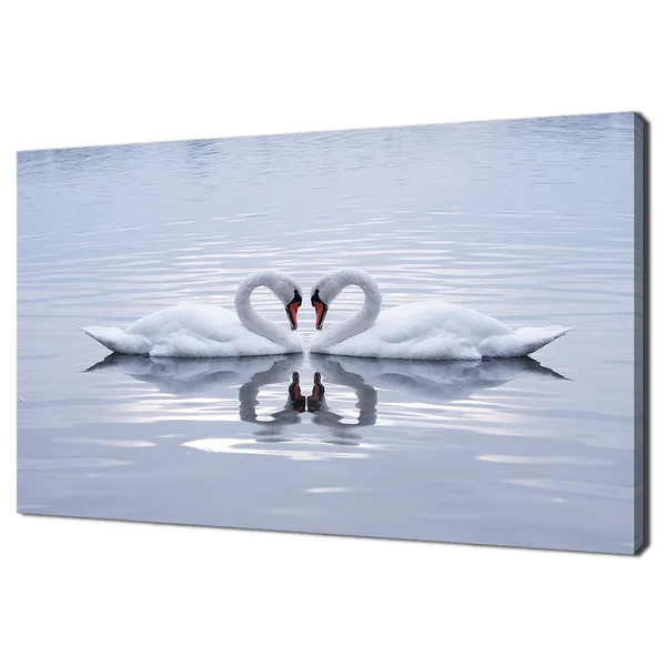 Swans In Heart Shape On Blue Lake, Love Poster