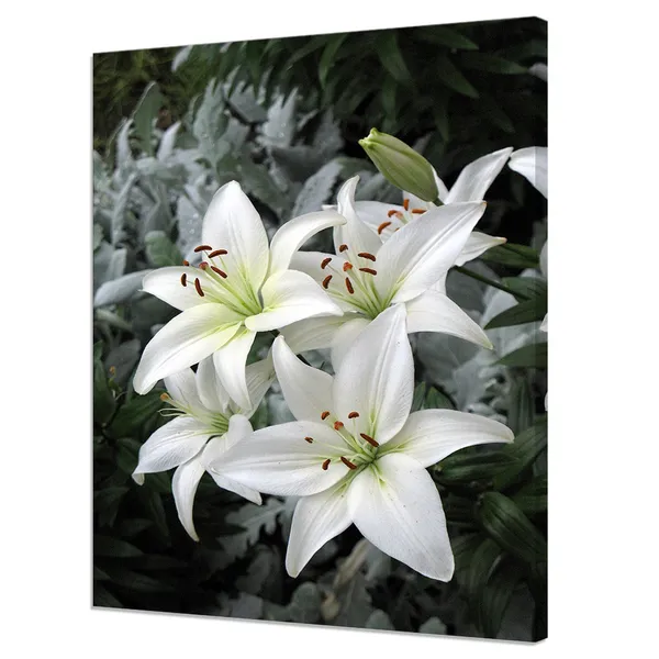 White Lily Flowers, Modern Floral Art Print