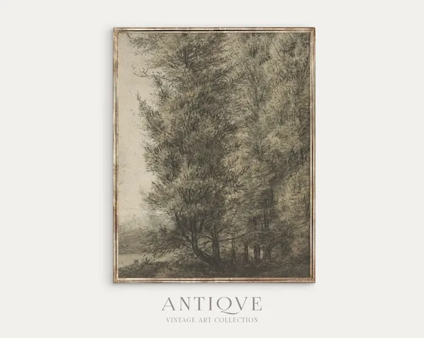 Vintage Trees Sketch Poster, Nature Wall Art