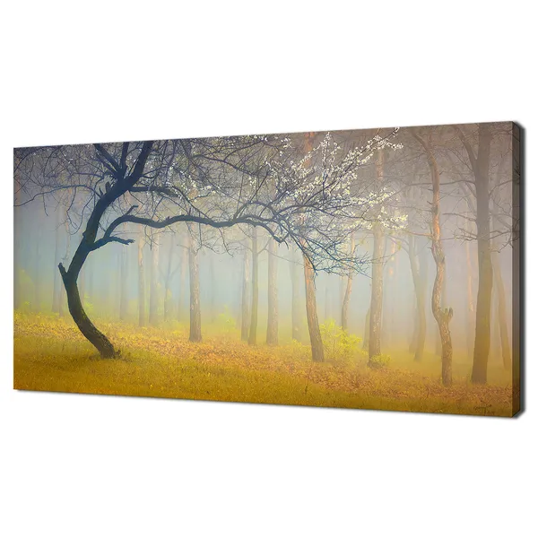 Tree In A Yellow Misty Forest Art Print