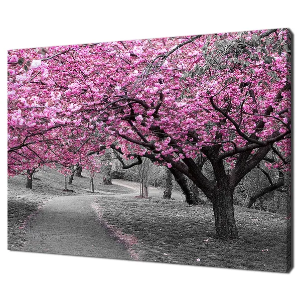 Pink Cherry Blossom Path, Modern Park Art Print