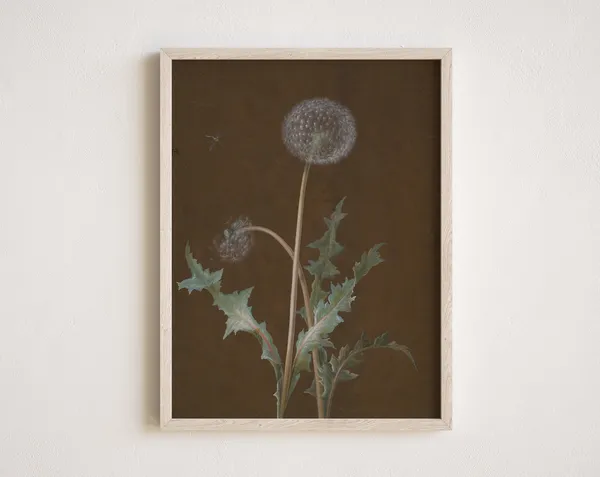 Vintage Dandelion Flower Botanical Art Print