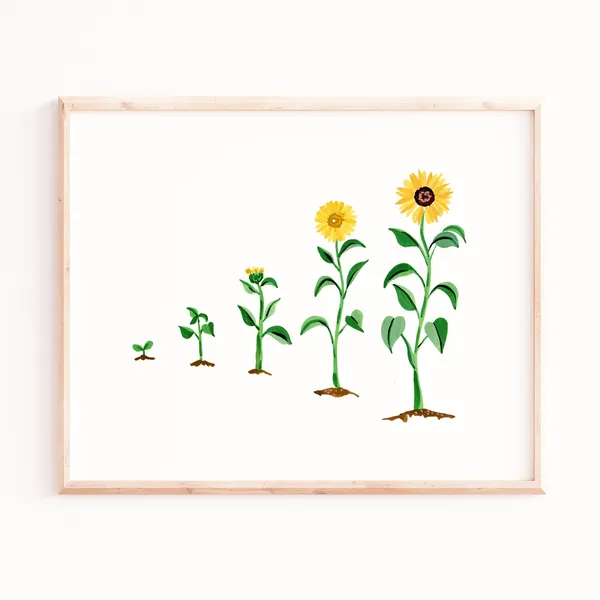 Sunflower Evolution Watercolor Art Print, Bohemian