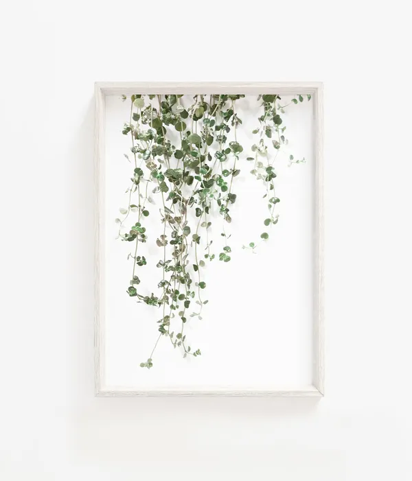 Botanical Plant Print - Leaf Art Poster