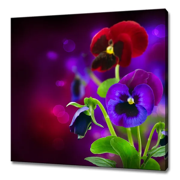 Spring Pansy Flowers, Modern Floral Art Print