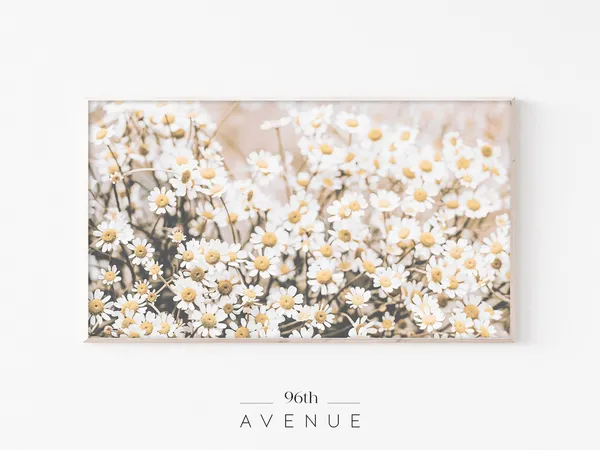 Daisy Botanical Art Print for TV, Spring Flowers