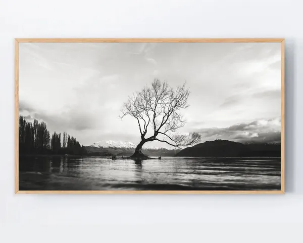 Black And White Tree Lake Landscape Art Print