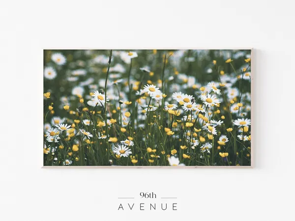 Daisy Field Spring Flowers Botanical Art Print