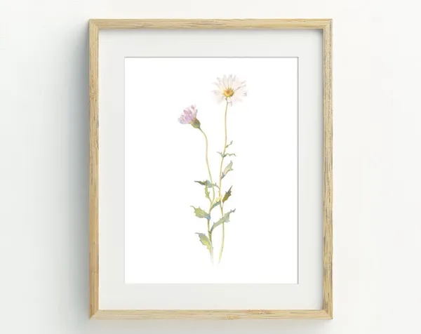 Daisy Flower Farmhouse Wall Art Poster Print