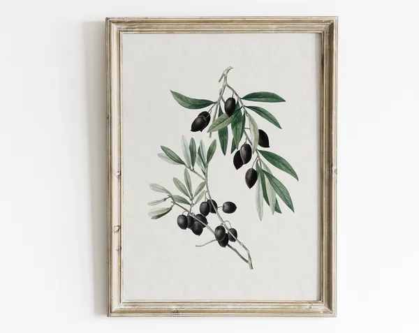 Vintage Olive Branch Botanical Drawing Art Print