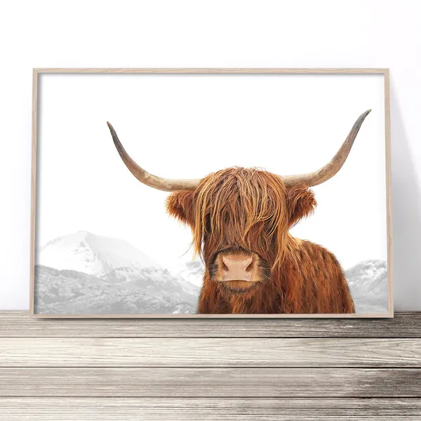 Highland Cow Print, Scottish Modern Farmhouse Art