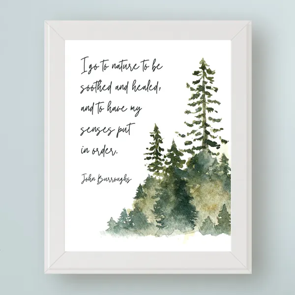John Burroughs Nature Quote, Environmental Wall Art